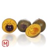 Lucuma 500gr