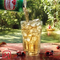 Guaranà Antarctica Latina  330 ML