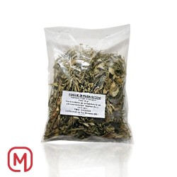 Ruda Seca 40gr