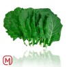 Foglia di Couve, folhas de couve,  Hojas de Couve 400gr