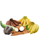 Frescos (Frutta e Verdura)